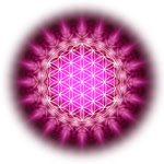 Lebensblume